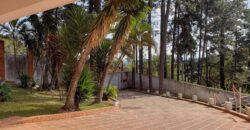 Excelente imóvel para locação residencial ou comercial na Serra da Cantareira